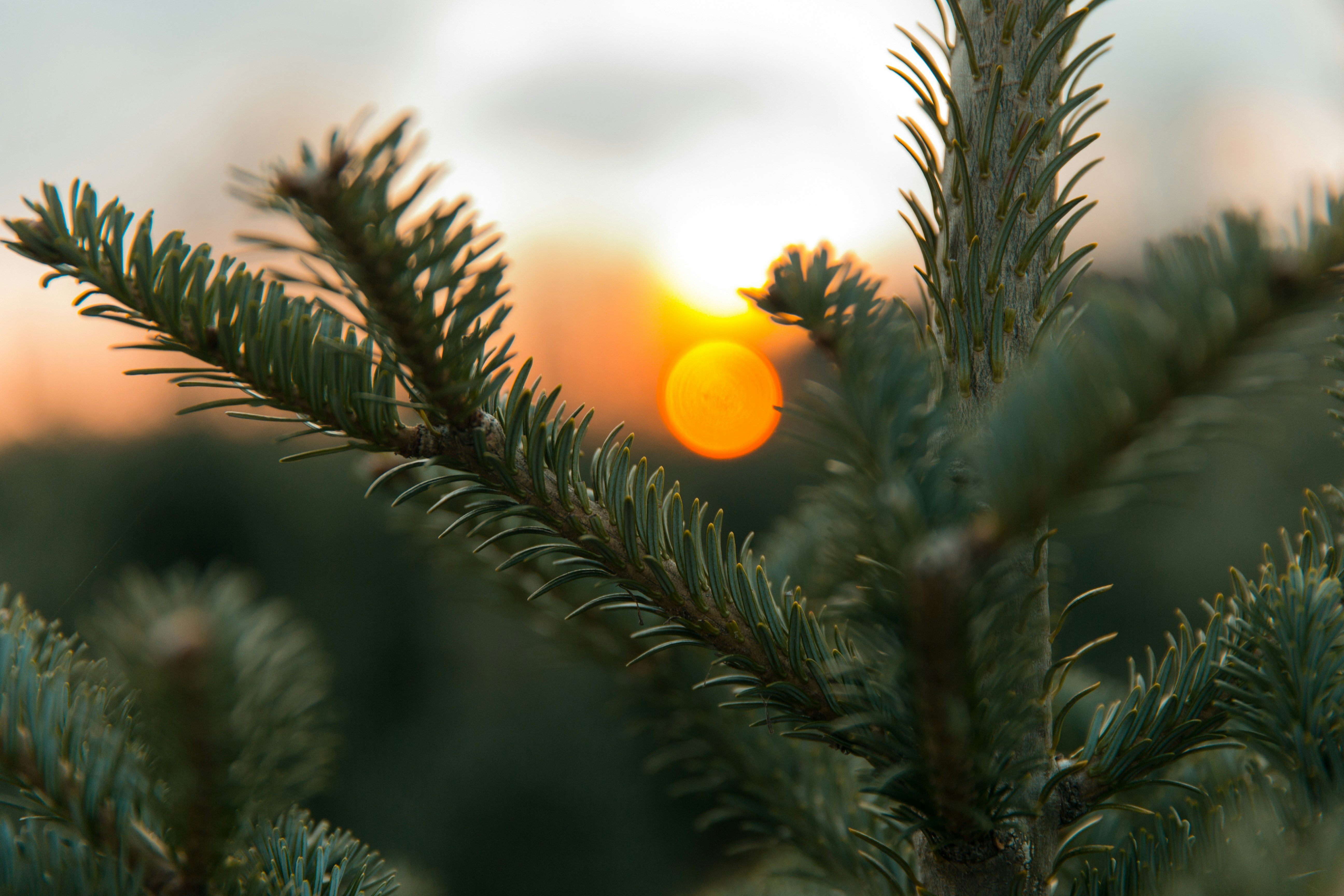 Photo by bradydrogers