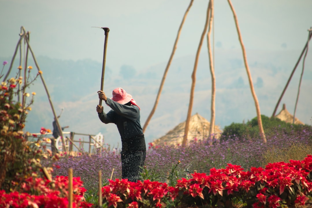 woman in black jacket and black pants standing on red flower field during daytime