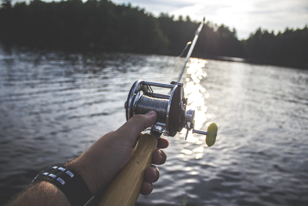 Angler holding a fishing reel