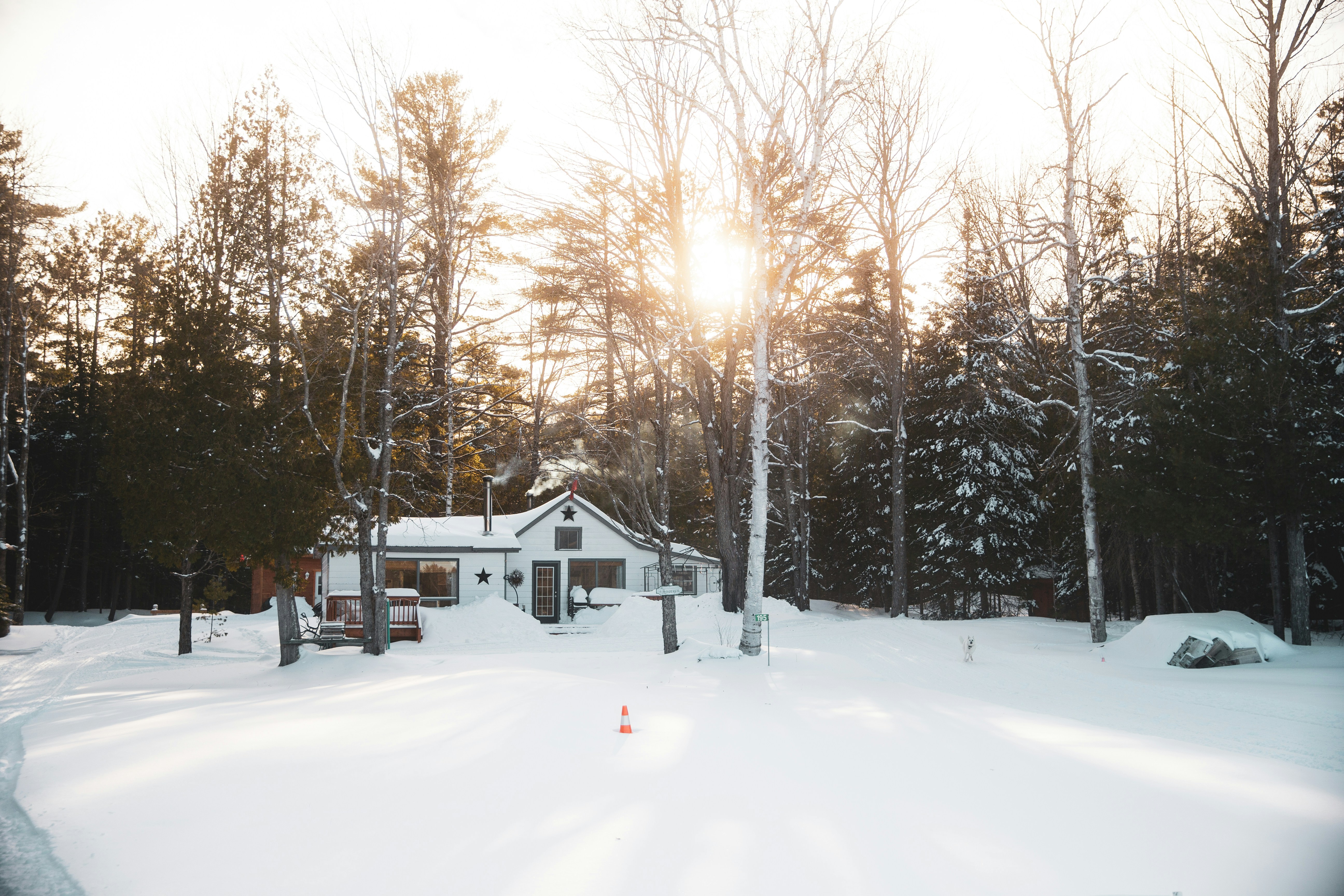 Photo by bradydrogers