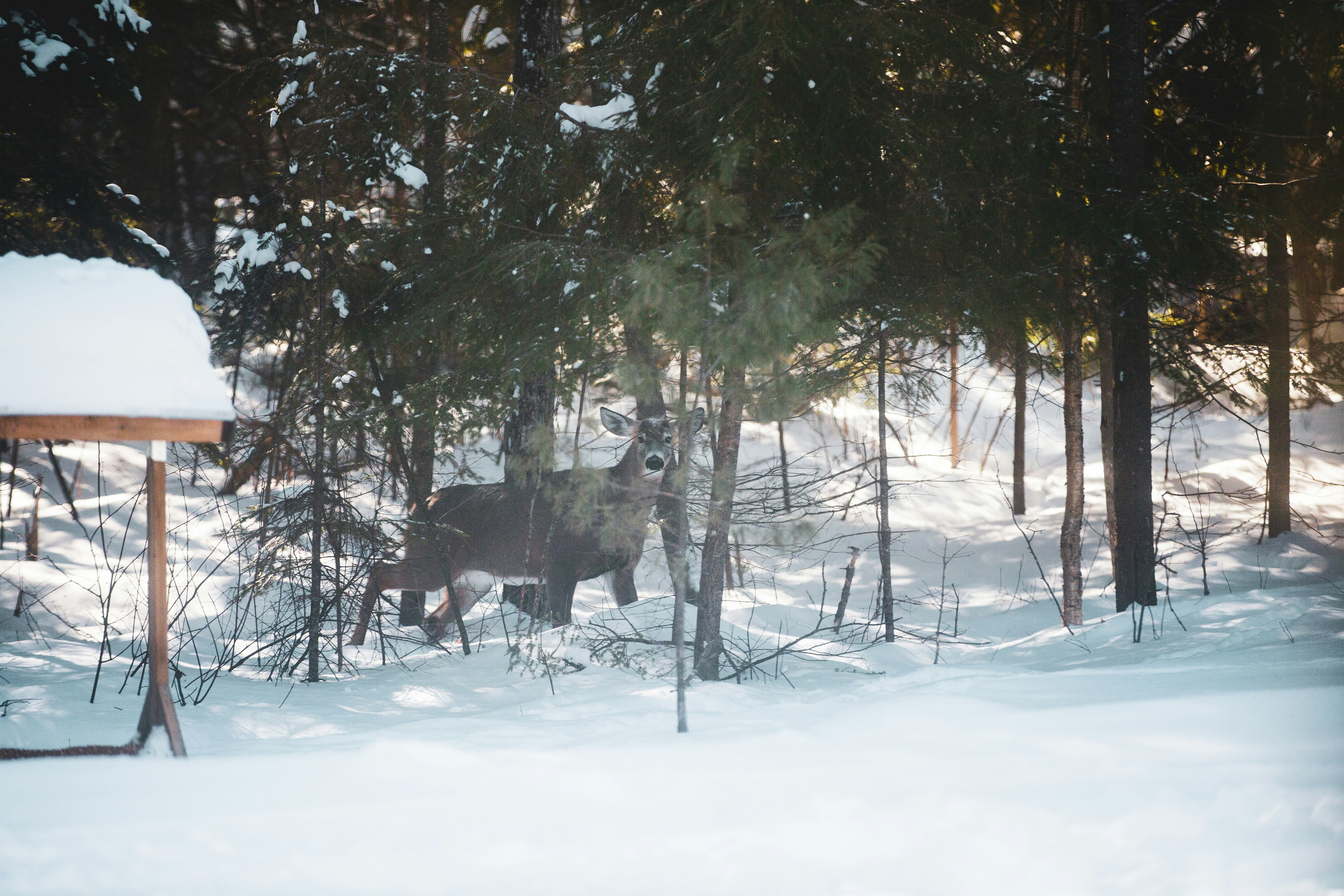 Photo by bradydrogers