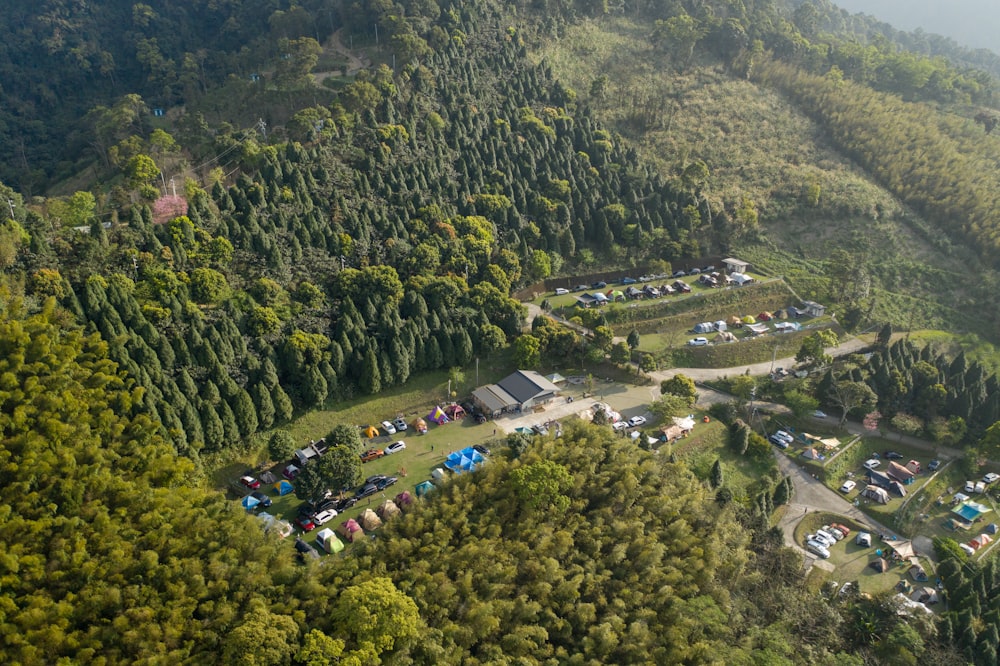 aerial view of green trees and houses during daytime