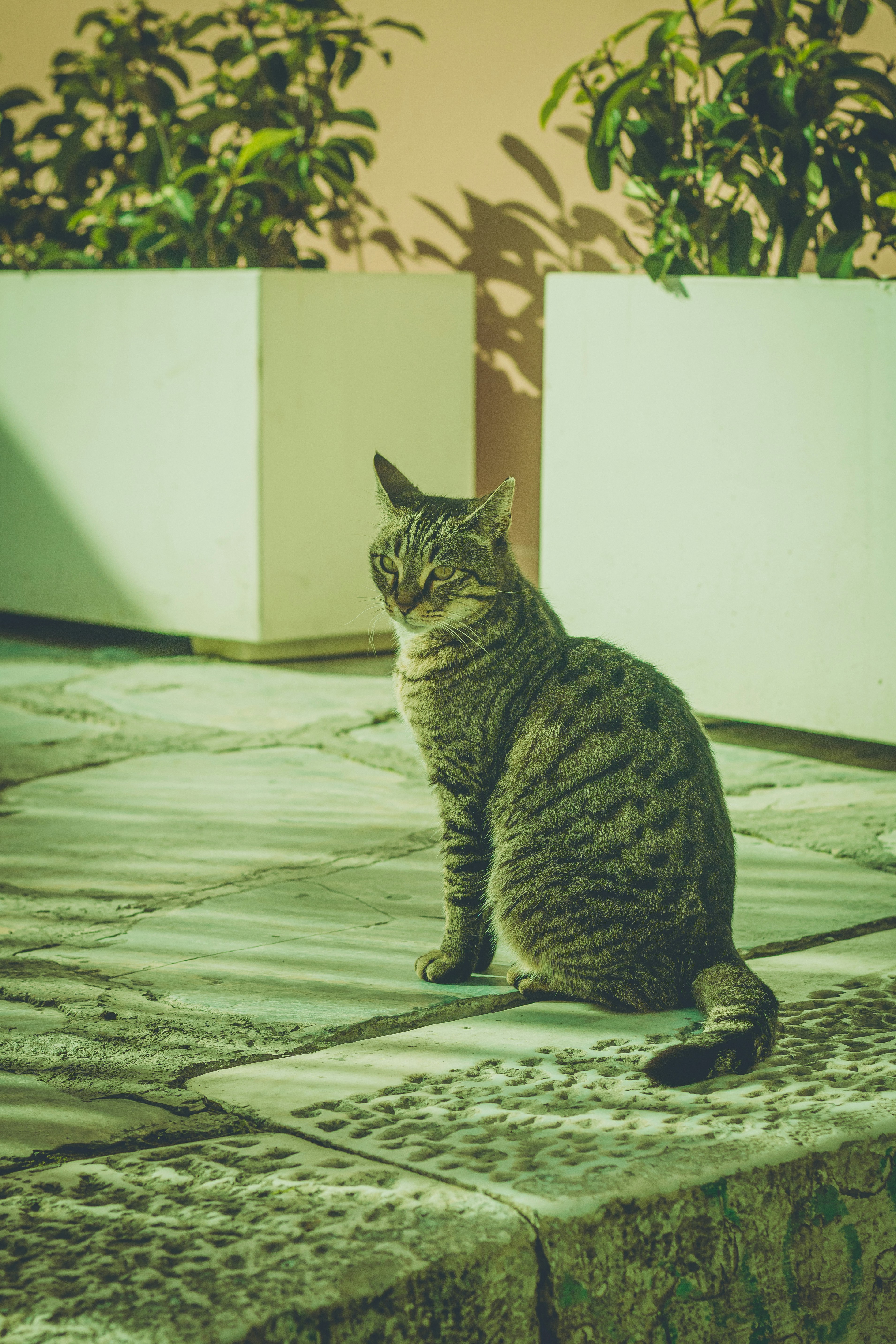 Photo by hellenicsun