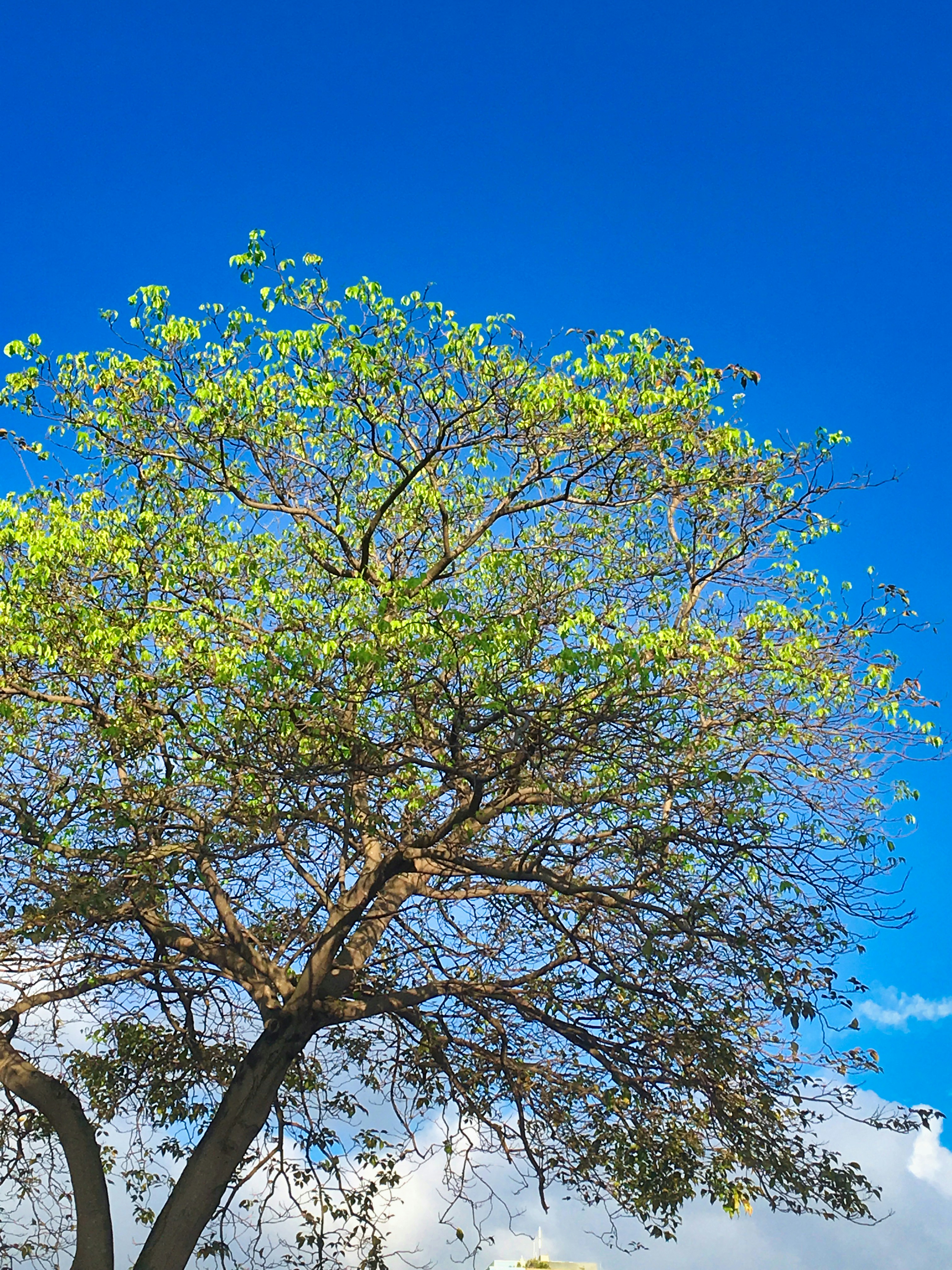 Photo by thomaskinto