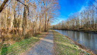 A peaceful path along a flowing river under a bright blue sky, inviting reflection and daily commitment.