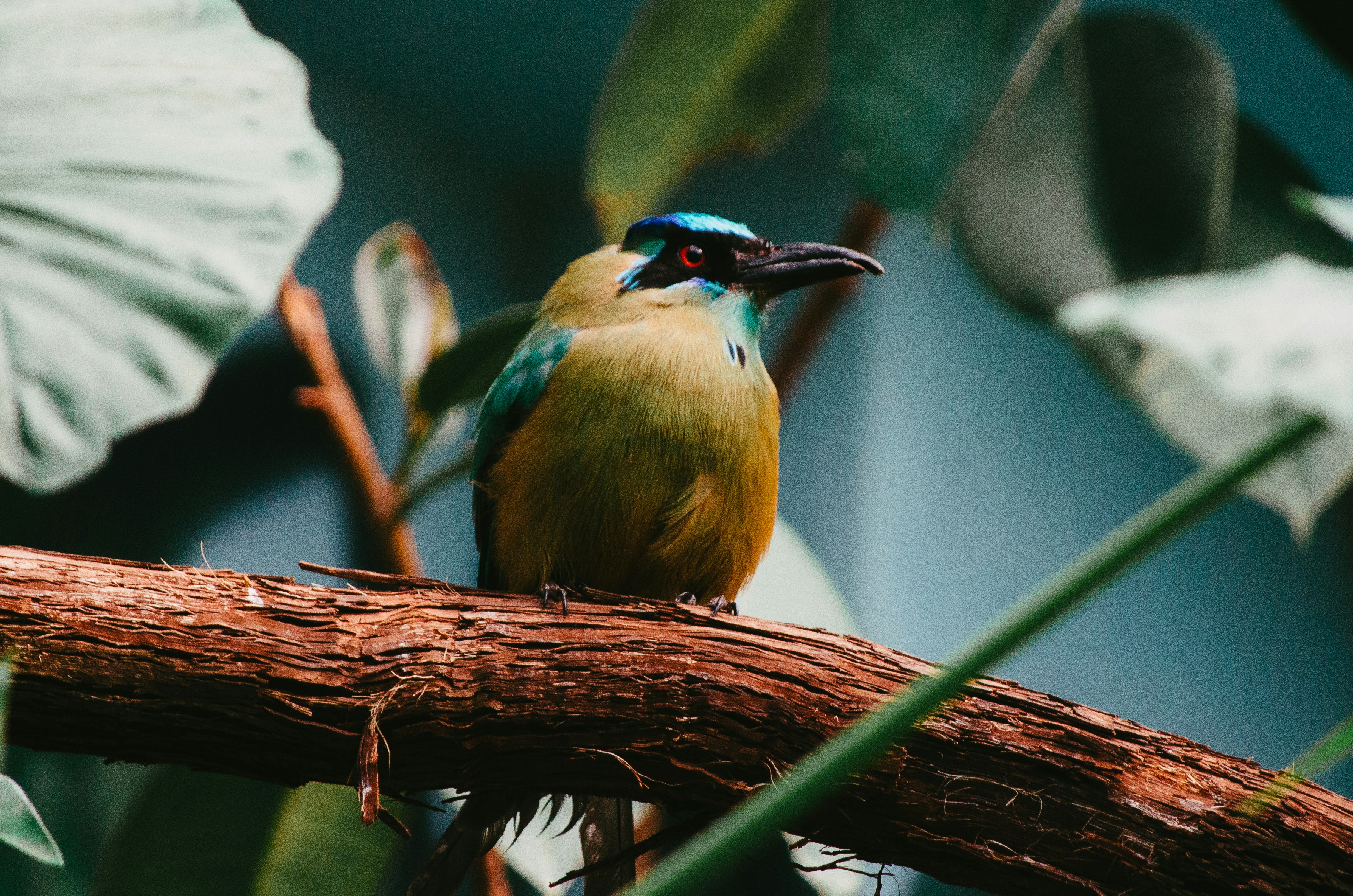 Photo by dangermonkey