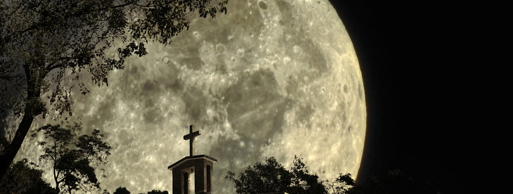 silhouette of cross on top of a tree