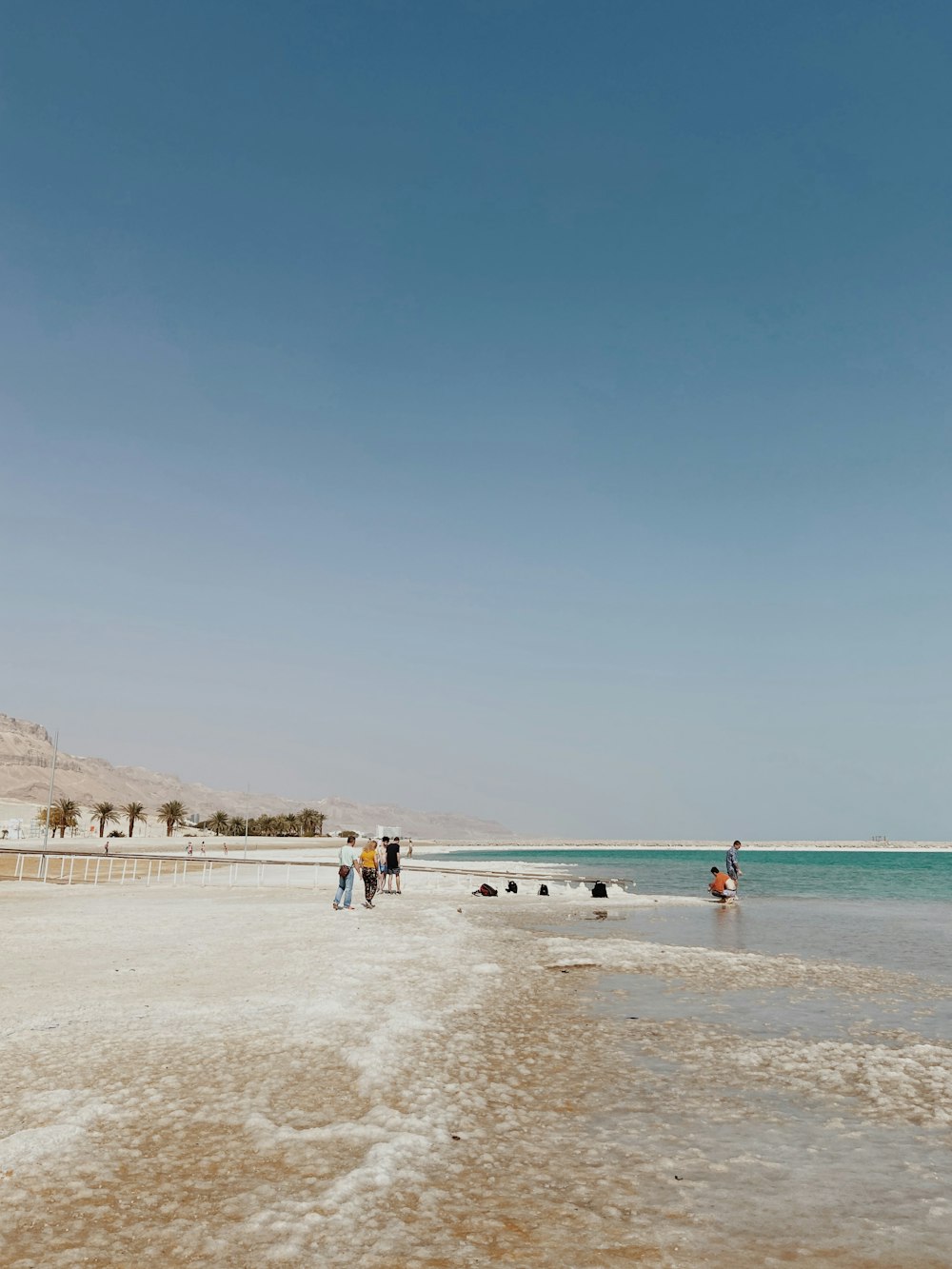 people on beach during daytime