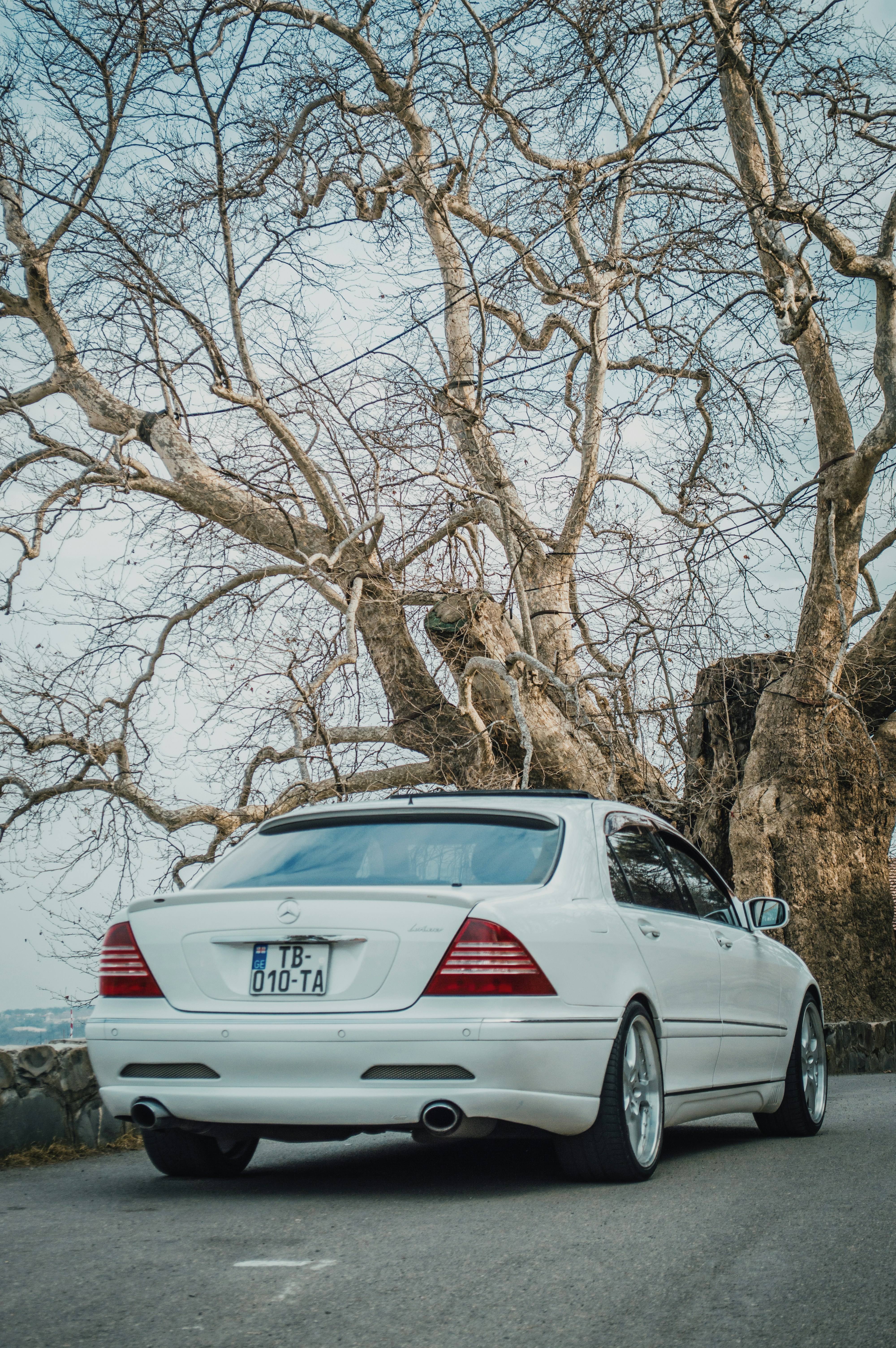 Telavi – Natural Environment & Landscapes