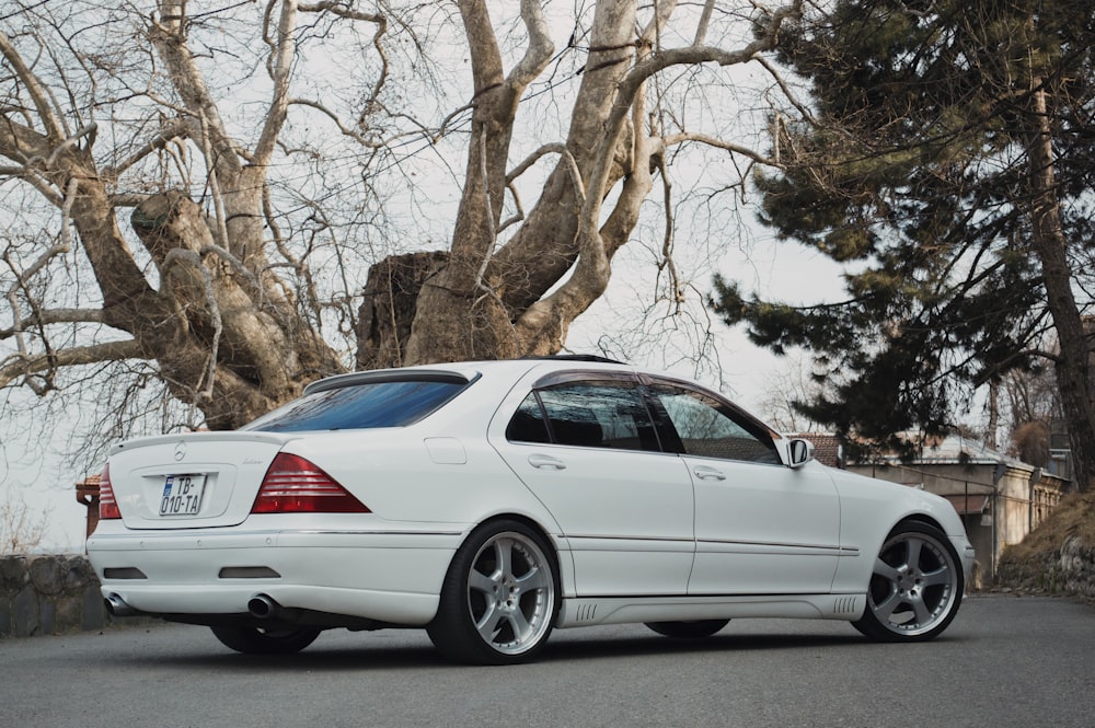 white sedan parked beside brown tree during daytime