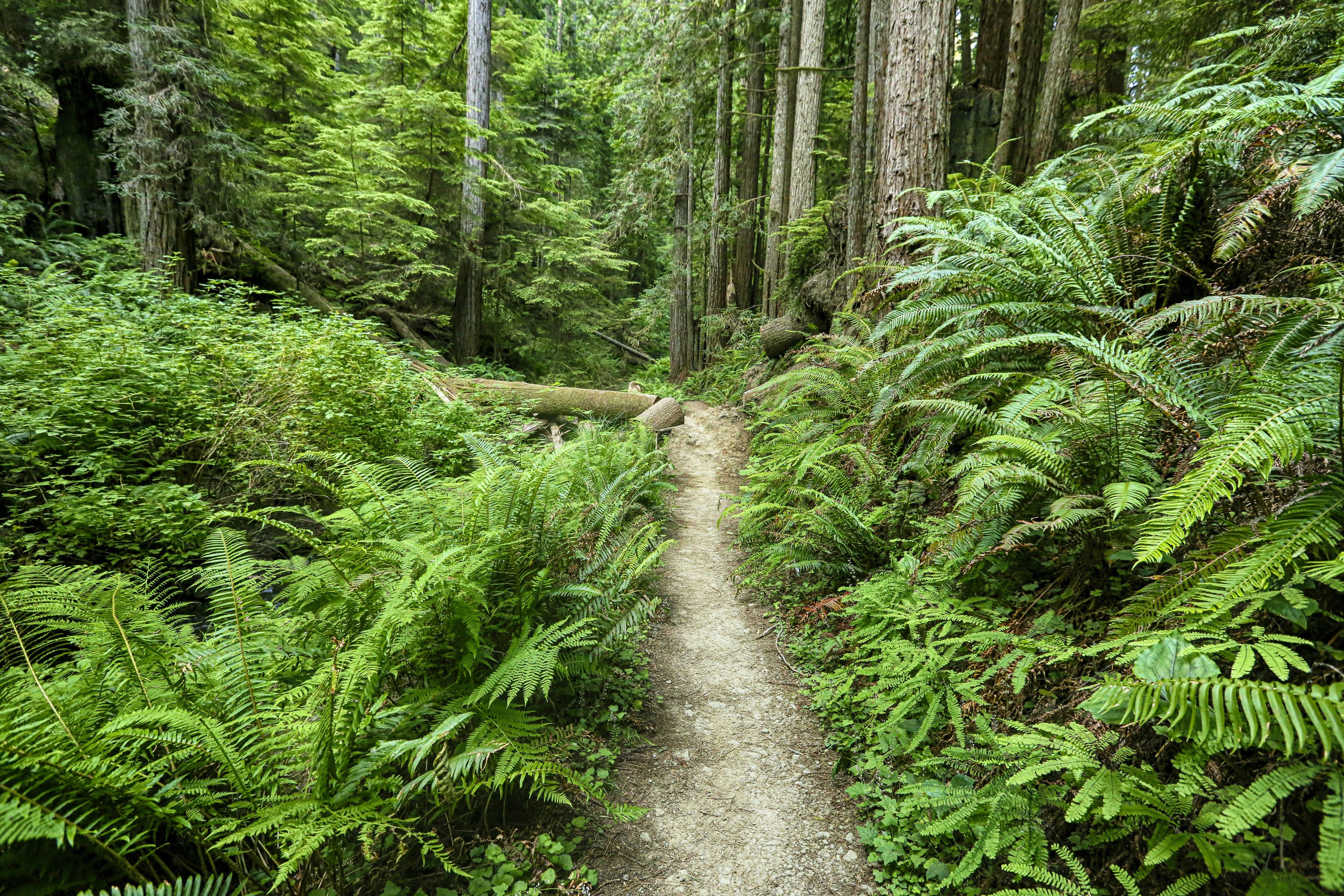 Photo by rocinante_11