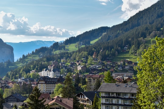 green trees and brown houses during daytime in Wengen Switzerland