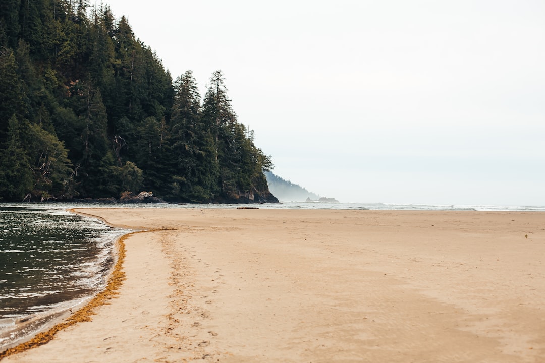 Beach photo spot Vancouver Island Tofino