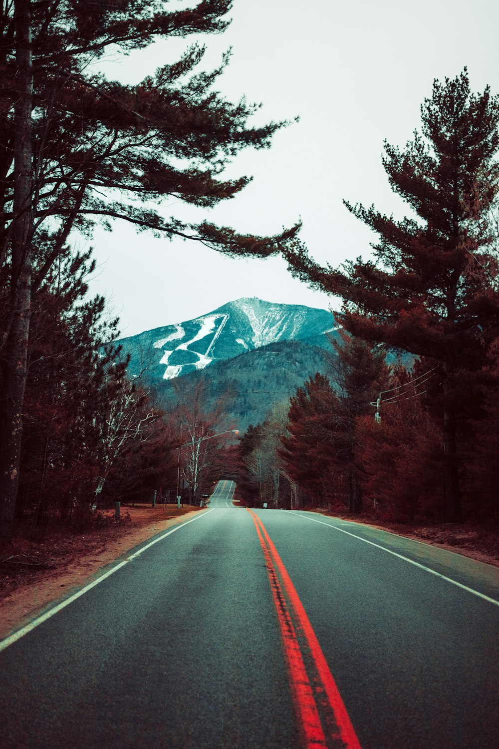 gray asphalt road between trees and mountain during daytime