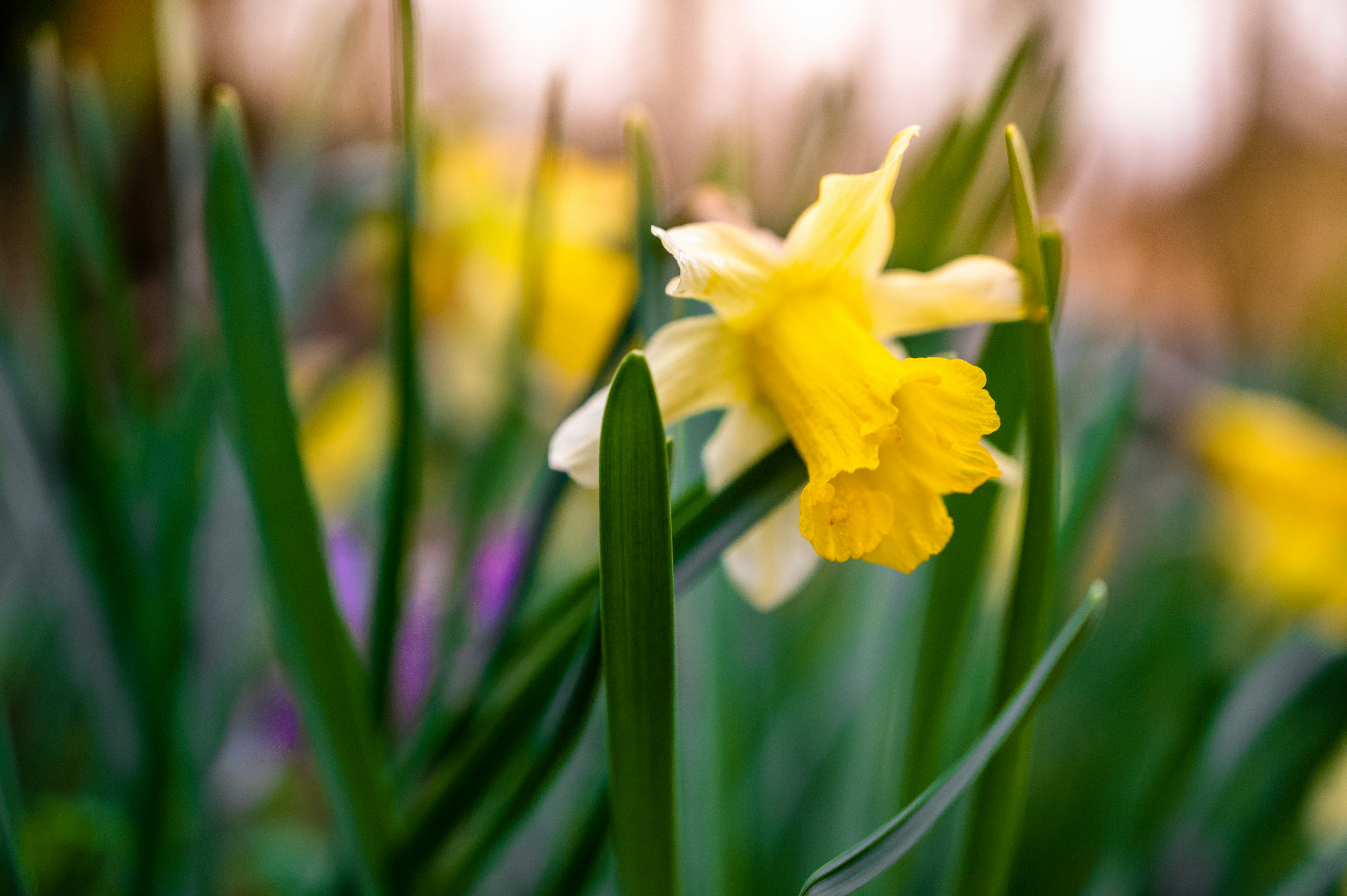 Photo by andreasbrun