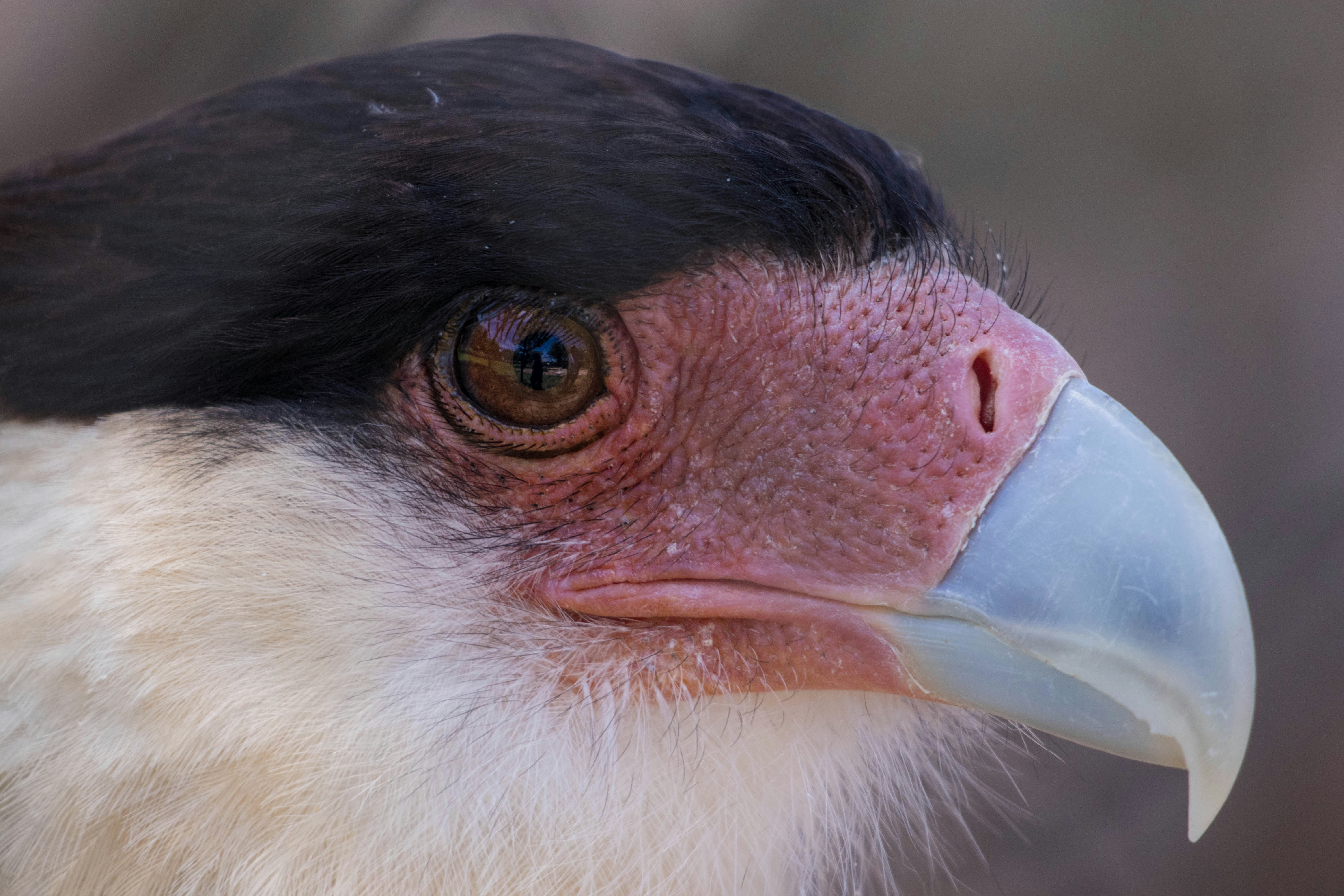 Photo by sonianadales