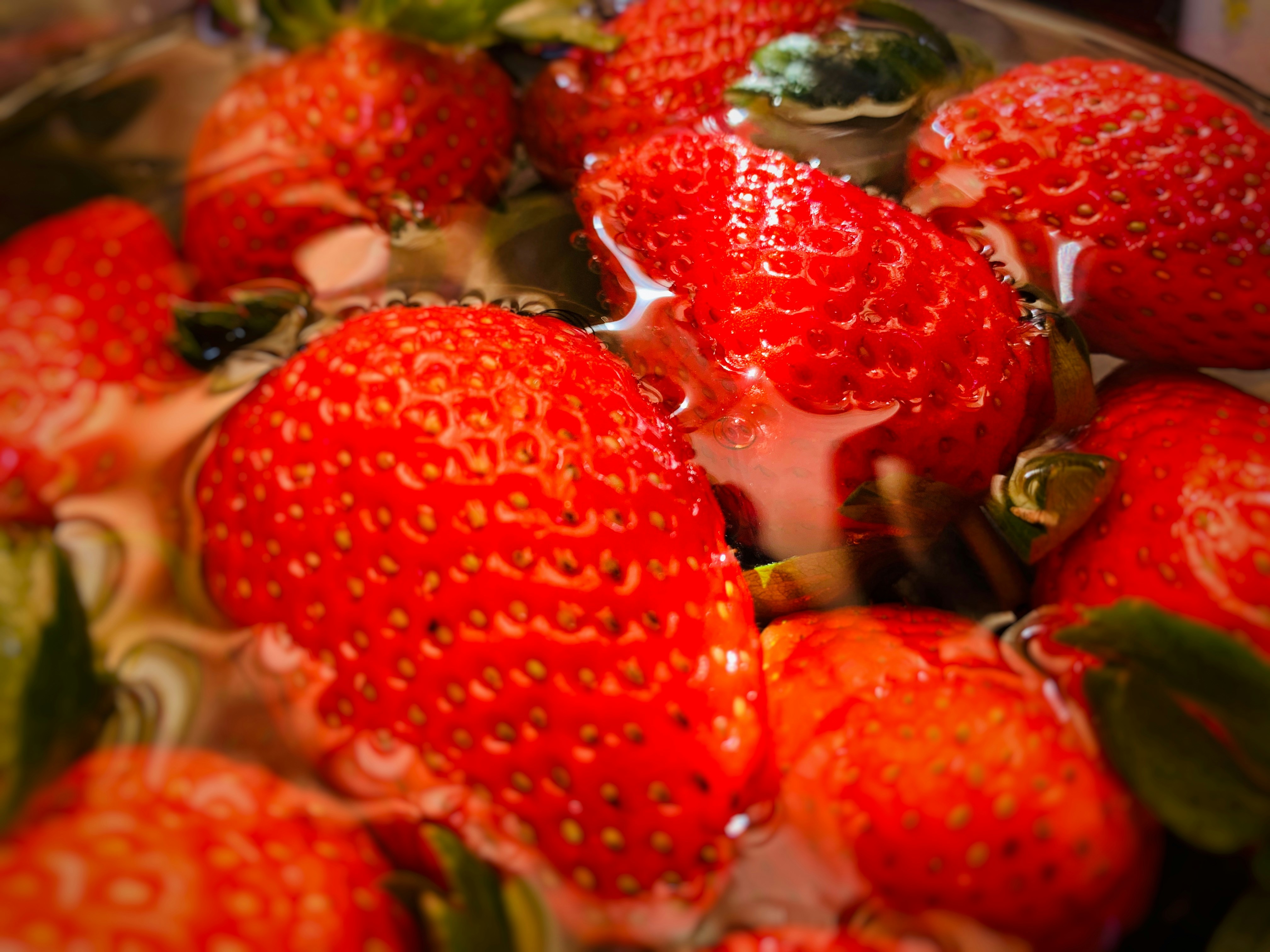 Fresas hidropónicas frescas