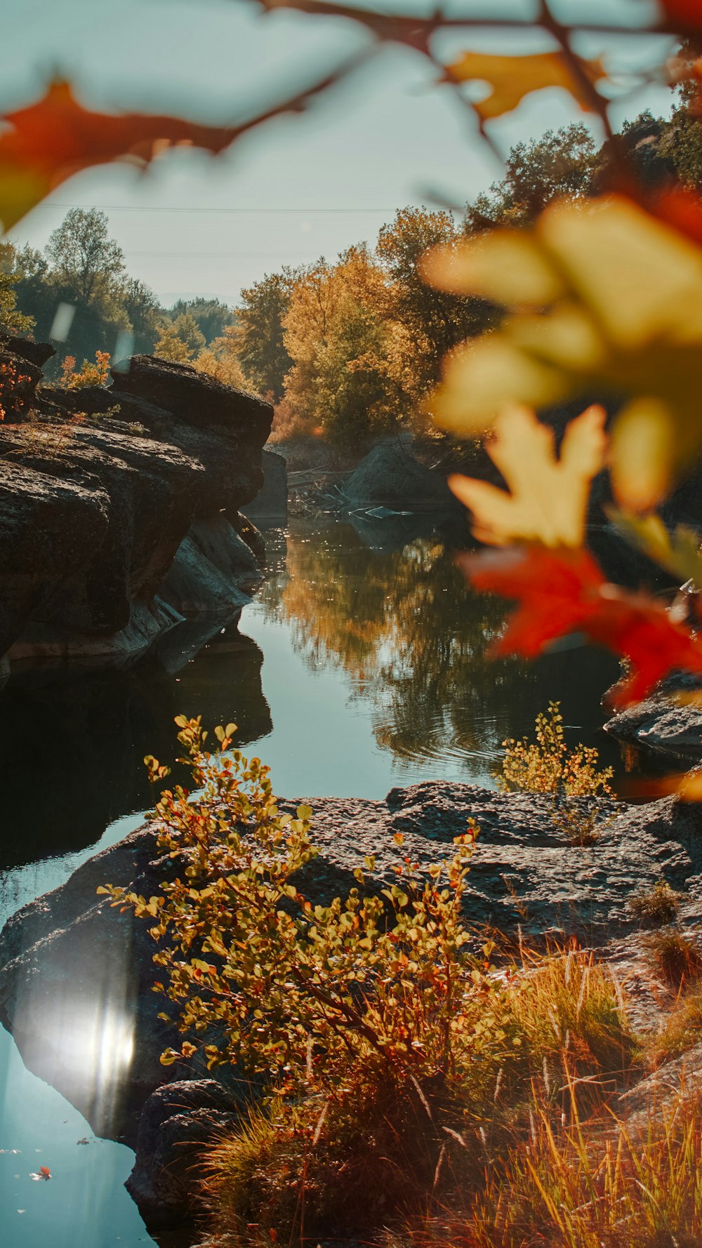 brown and black rocks beside river