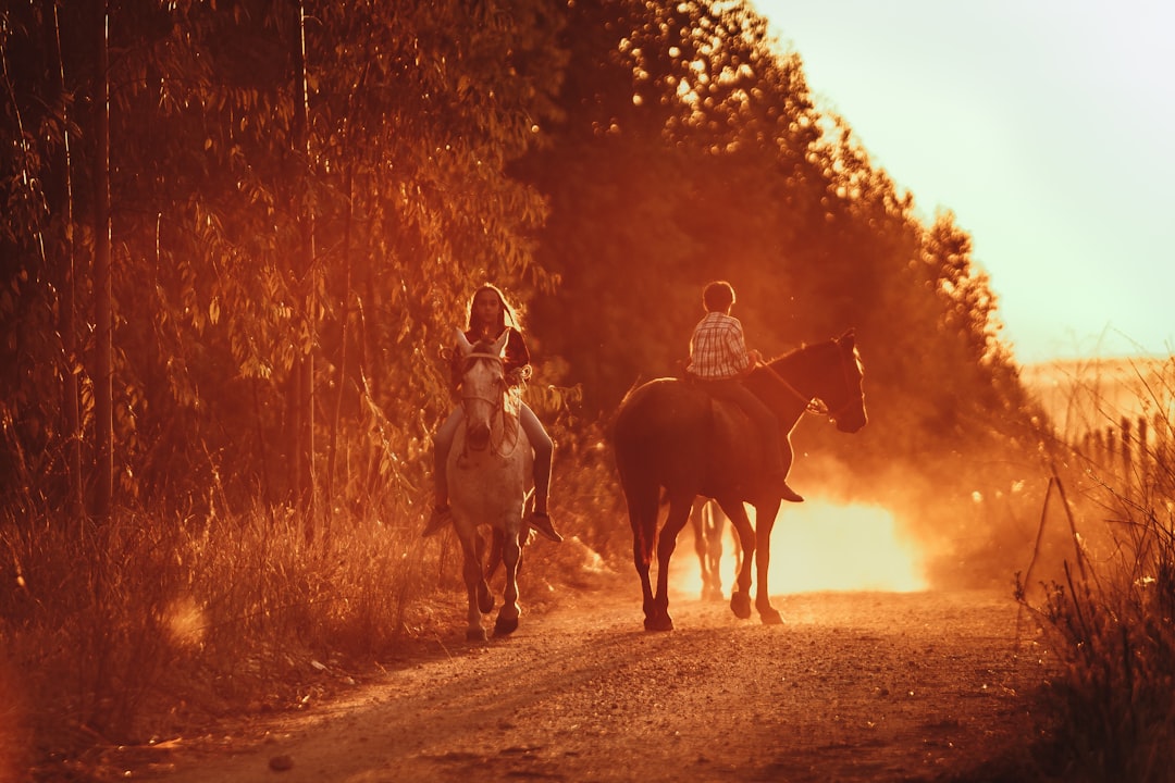 2 men riding horse in forest during daytime