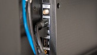 black and blue coated wires