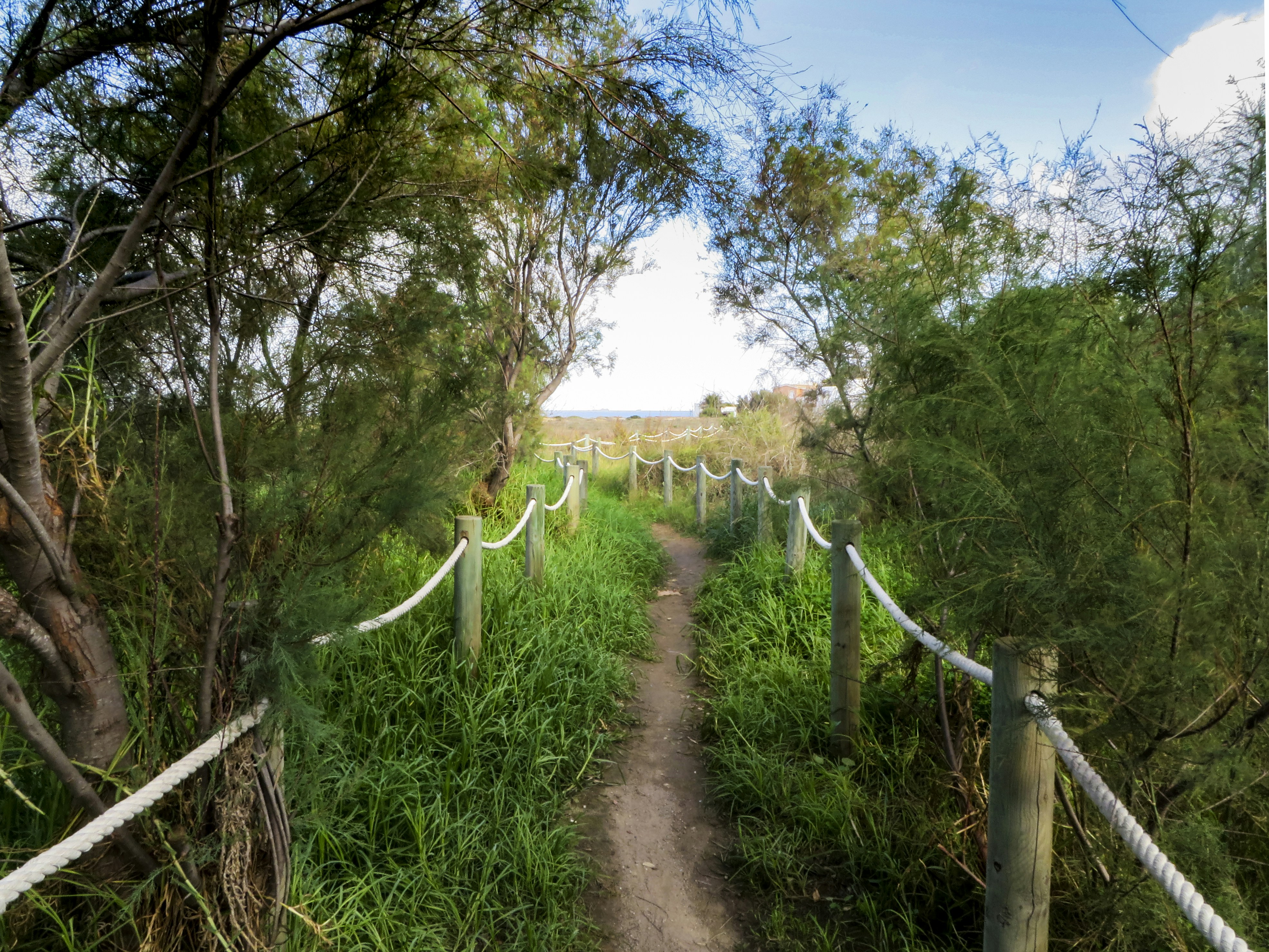 Path to the Mediterranean Sea