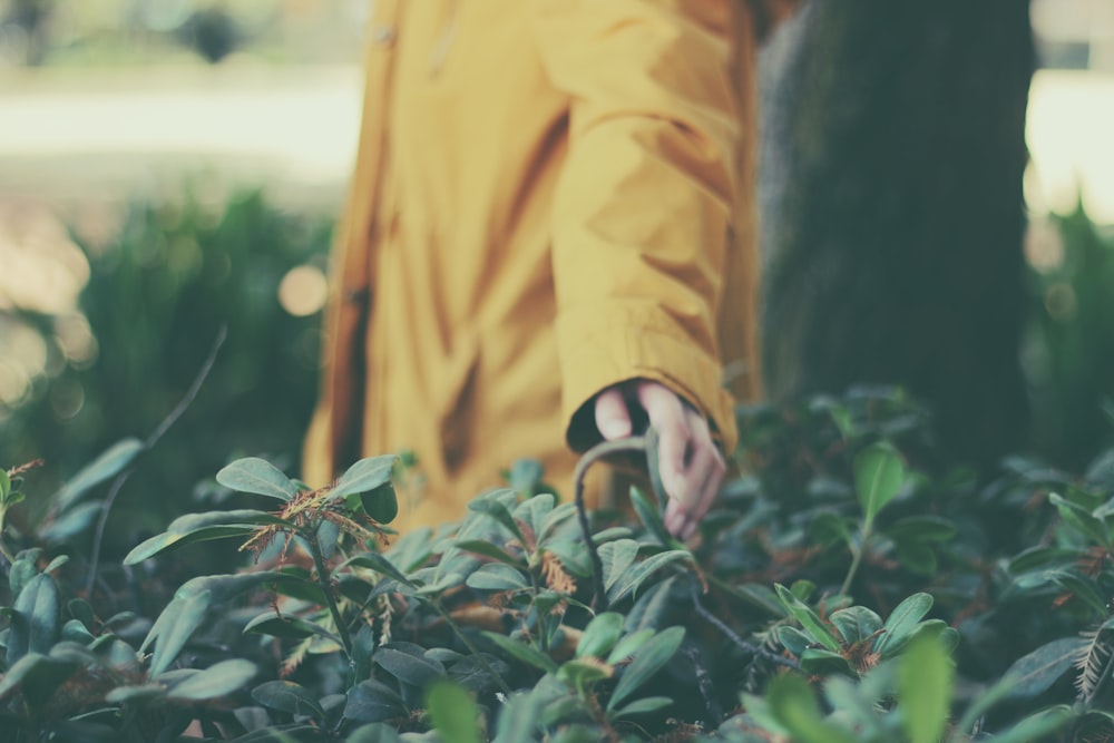 Persona in cappotto marrone che si leva in piedi accanto alla pianta verde durante il giorno