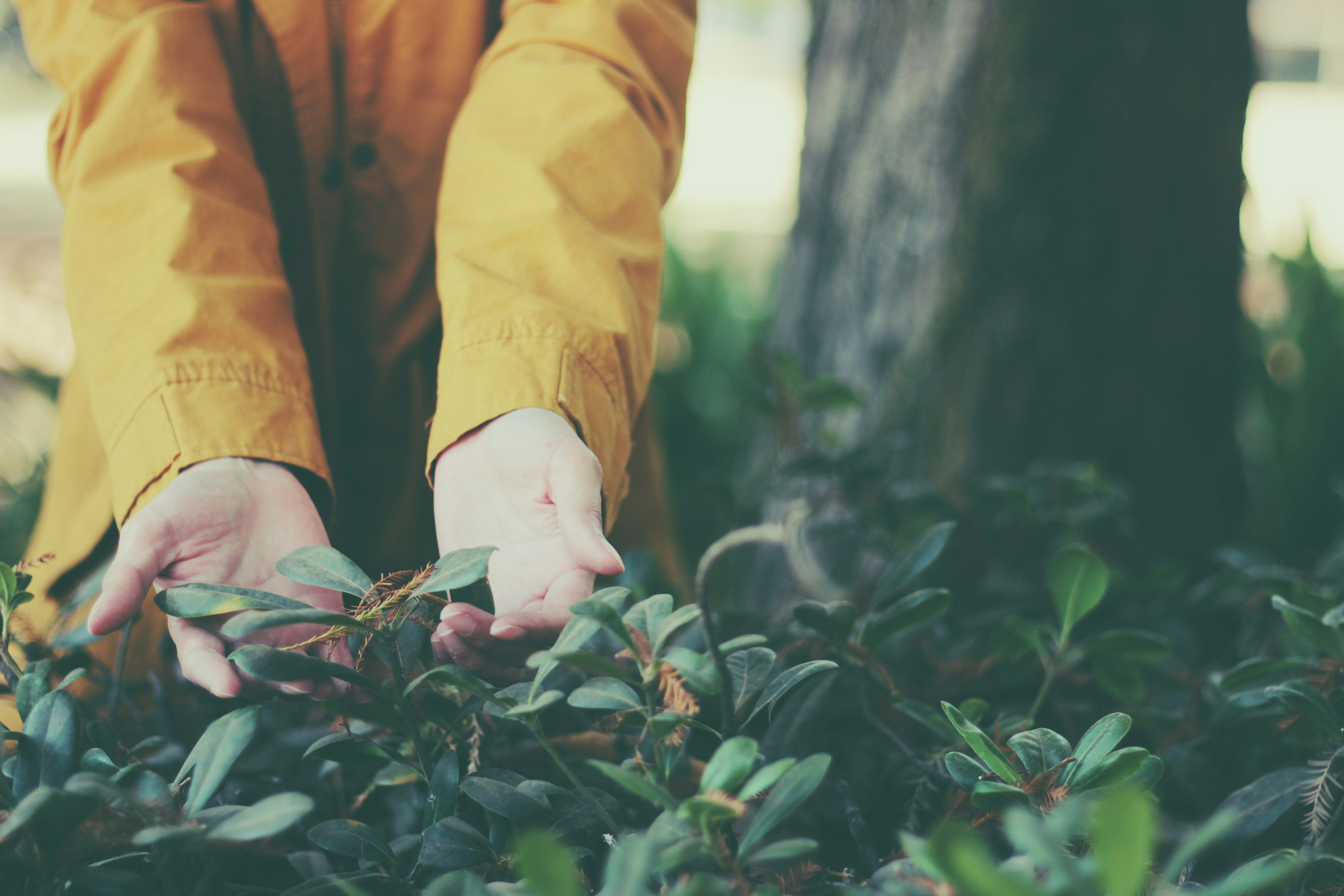 Photo by carolinahdzz