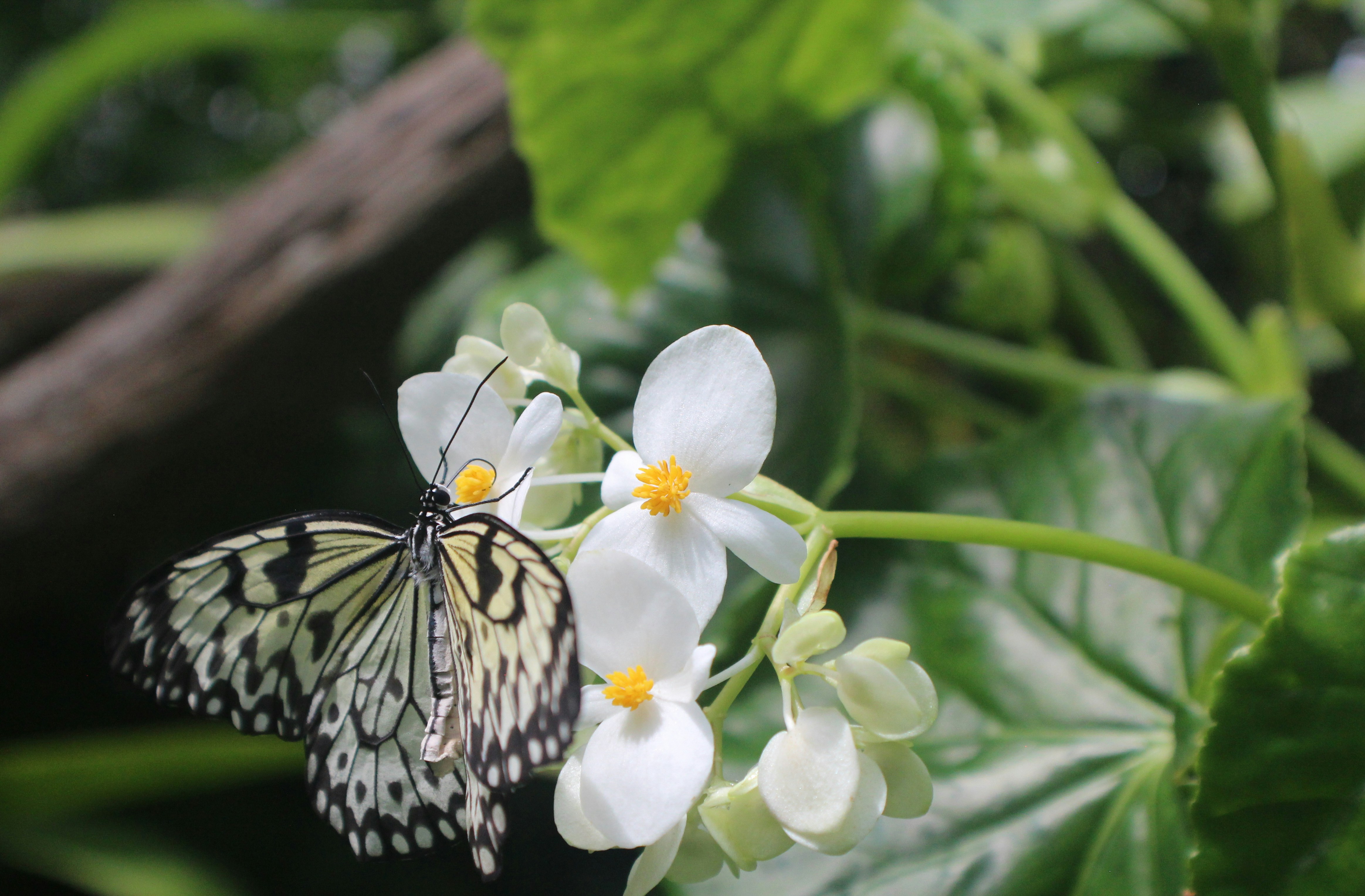 maria solano (@maria_sol) | Unsplash Photo Community
