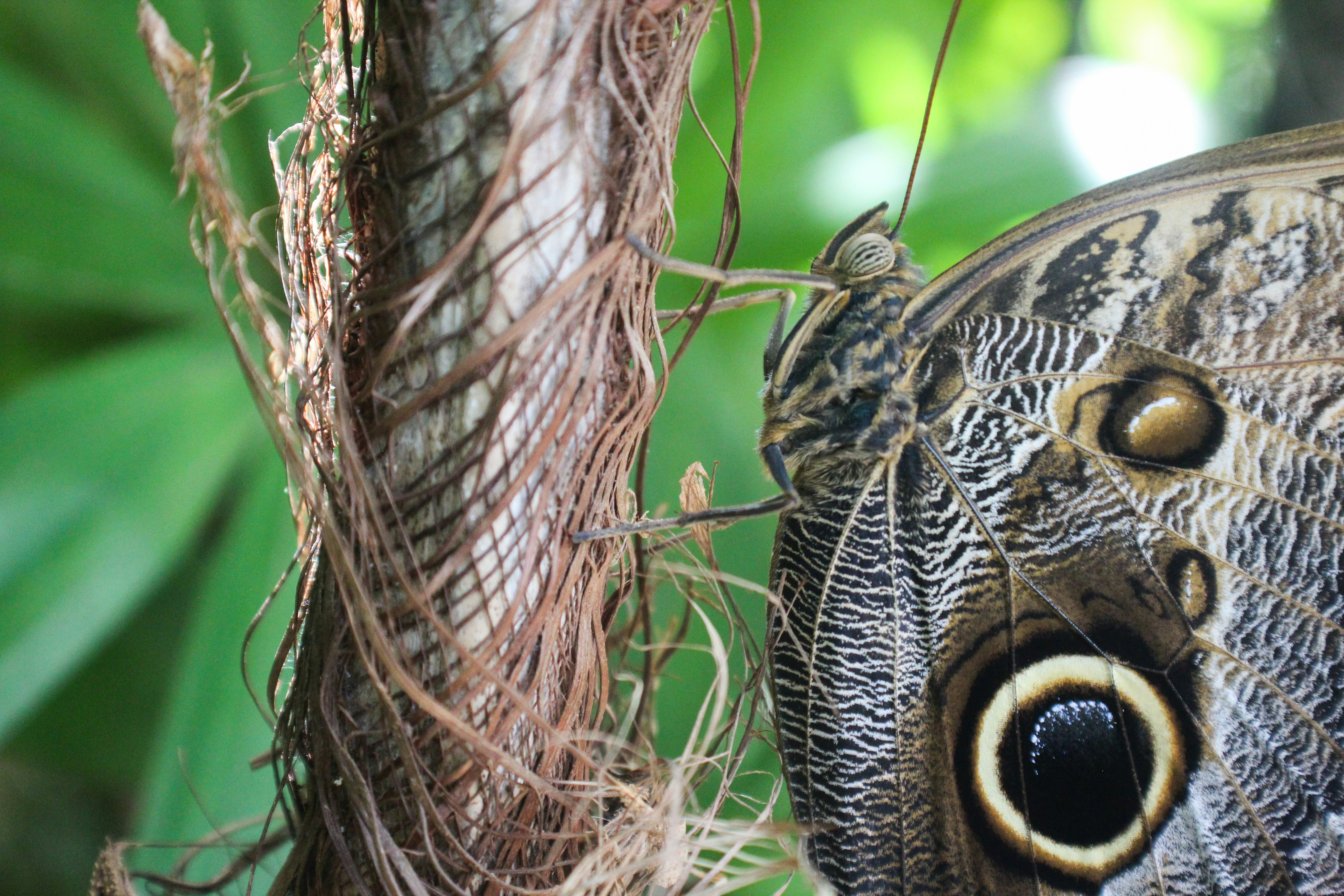 maria solano (@maria_sol) | Unsplash Photo Community