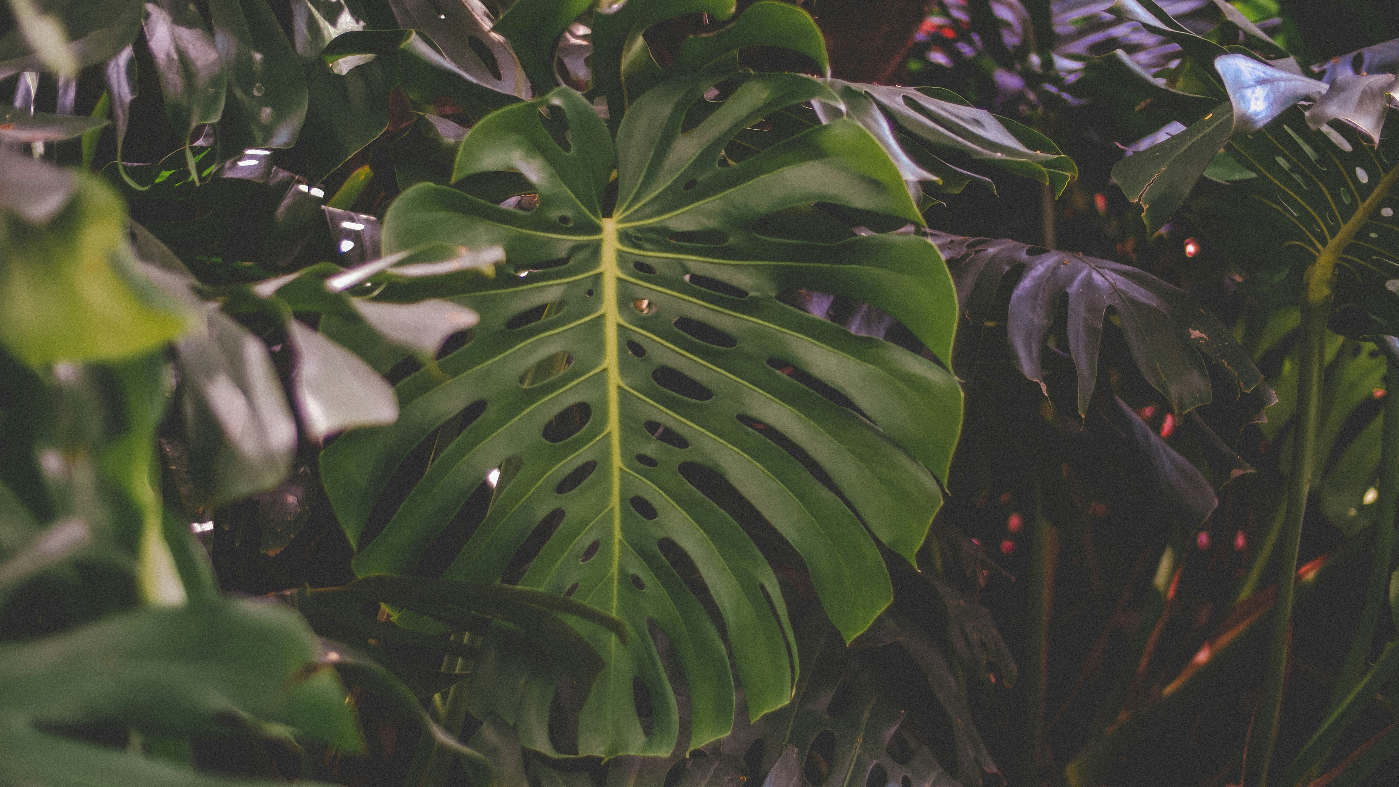 Photo by anthonydavid