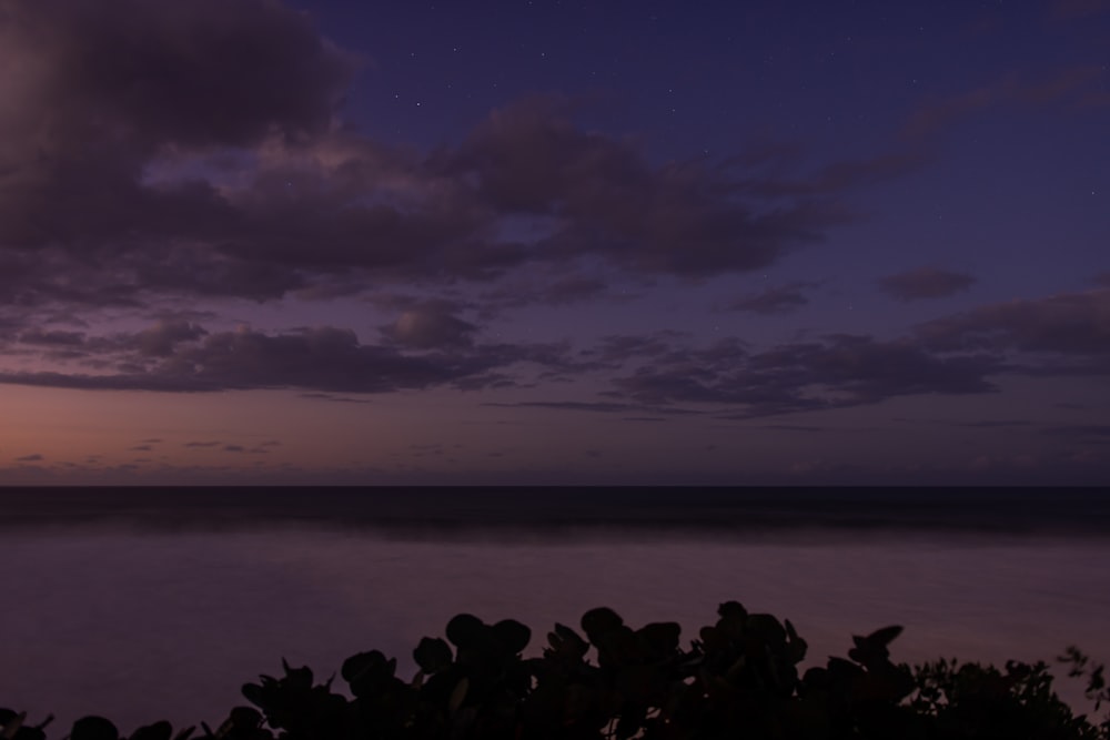 silhouette of people standing on seashore during sunset