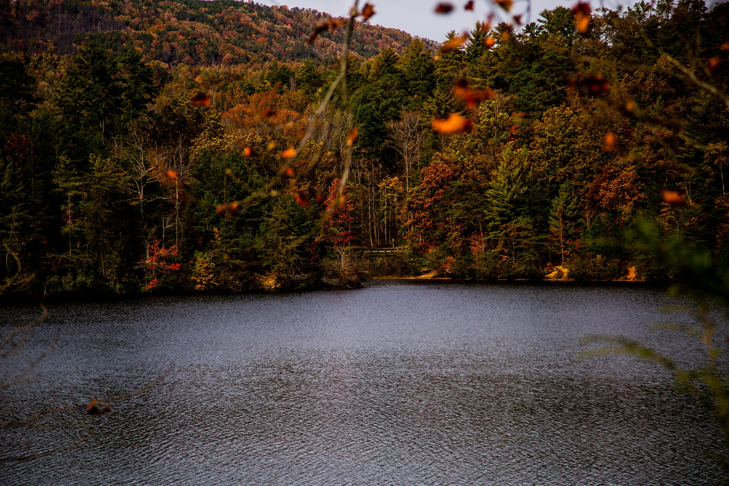 Photo by michael_sturgeon