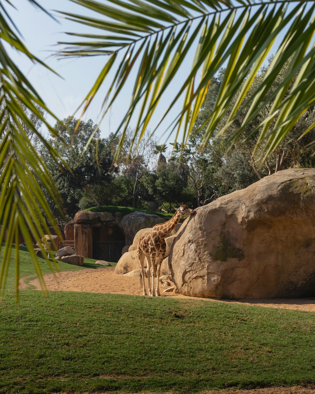 brown rock formation near green grass field during daytime