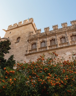 valencia travel guide