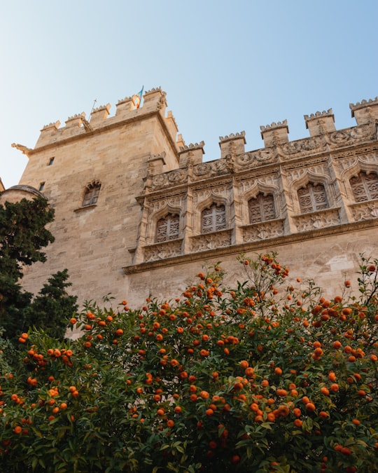 Llotja de la Seda things to do in Valencia