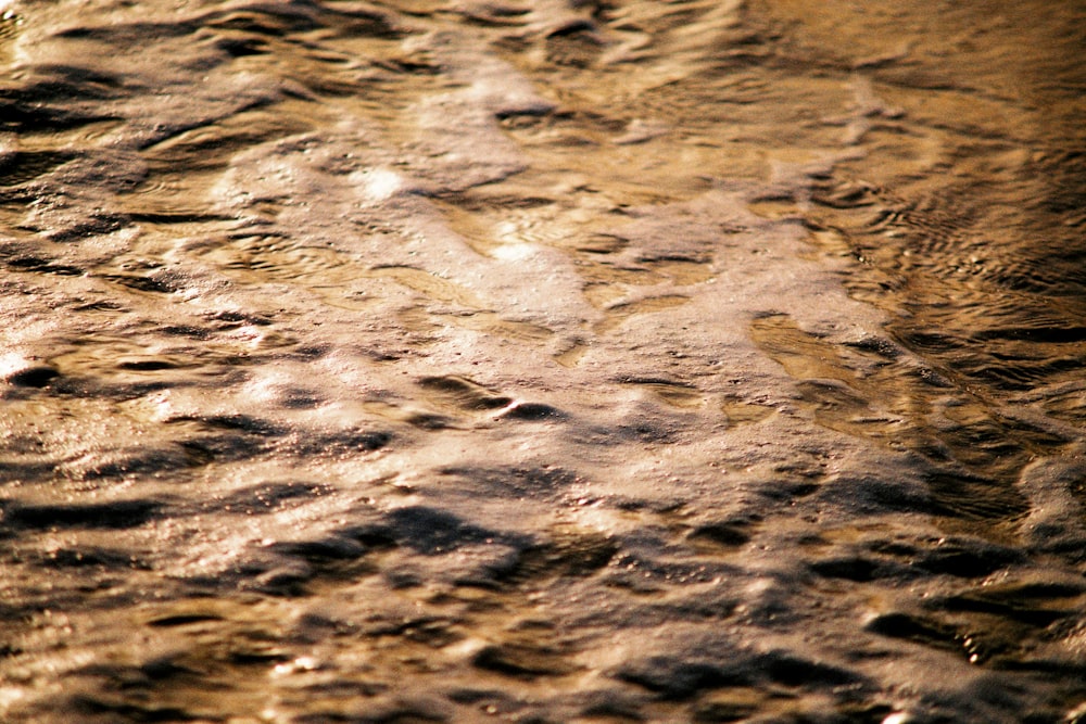 brown sand with water during daytime