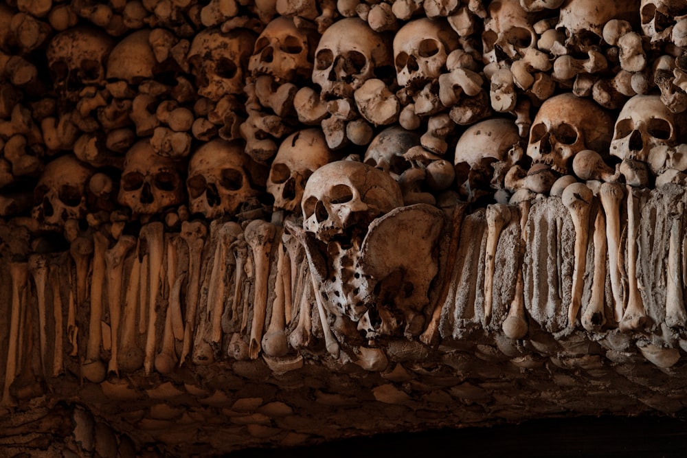 braunes Totenkopf-Wanddekor aus Holz