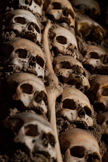 brown wooden human skull decor