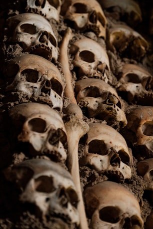 brown wooden human skull decor