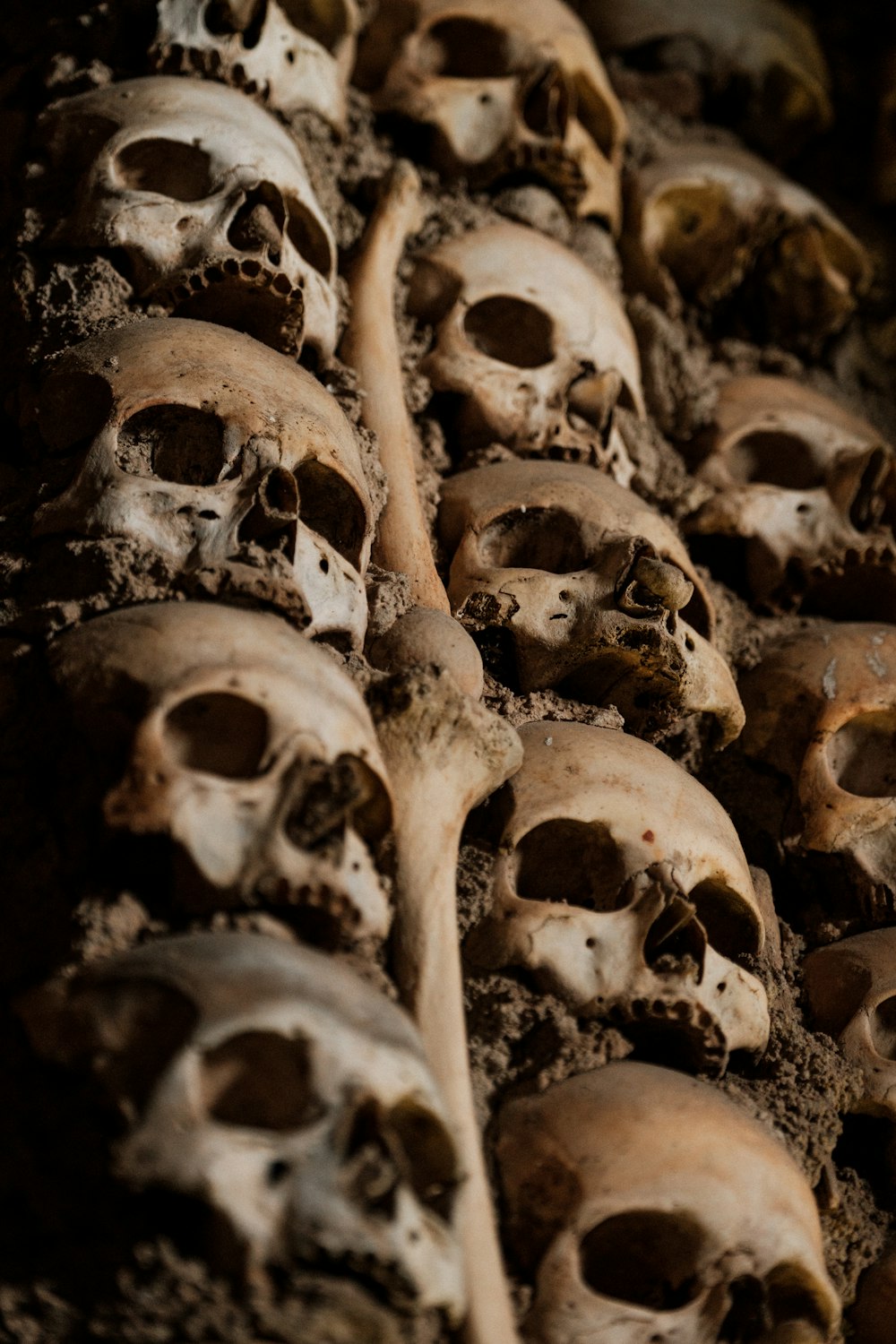 decoración de cráneo humano de madera marrón