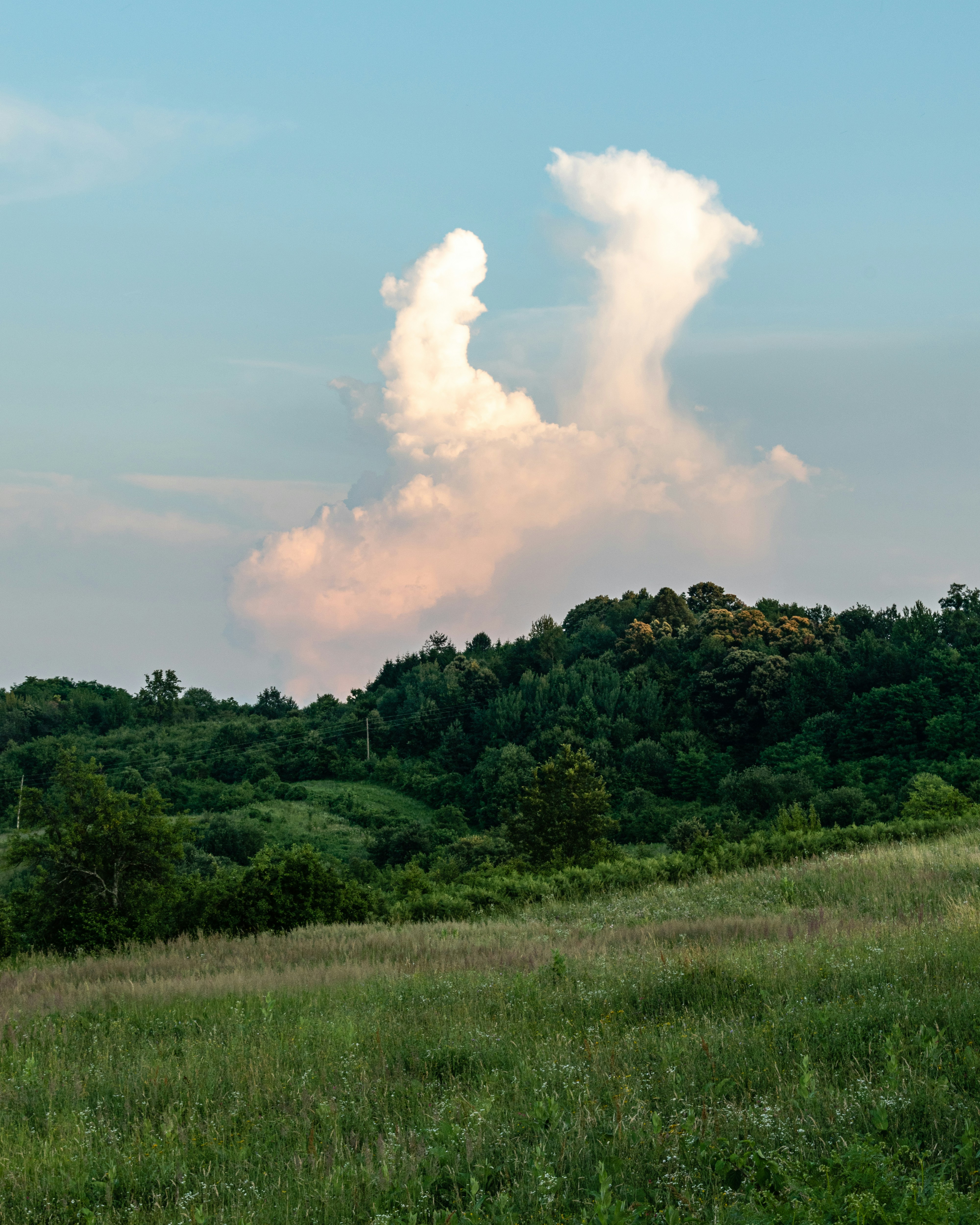Green trees under white clouds and blue sky during daytime photo – Free ...