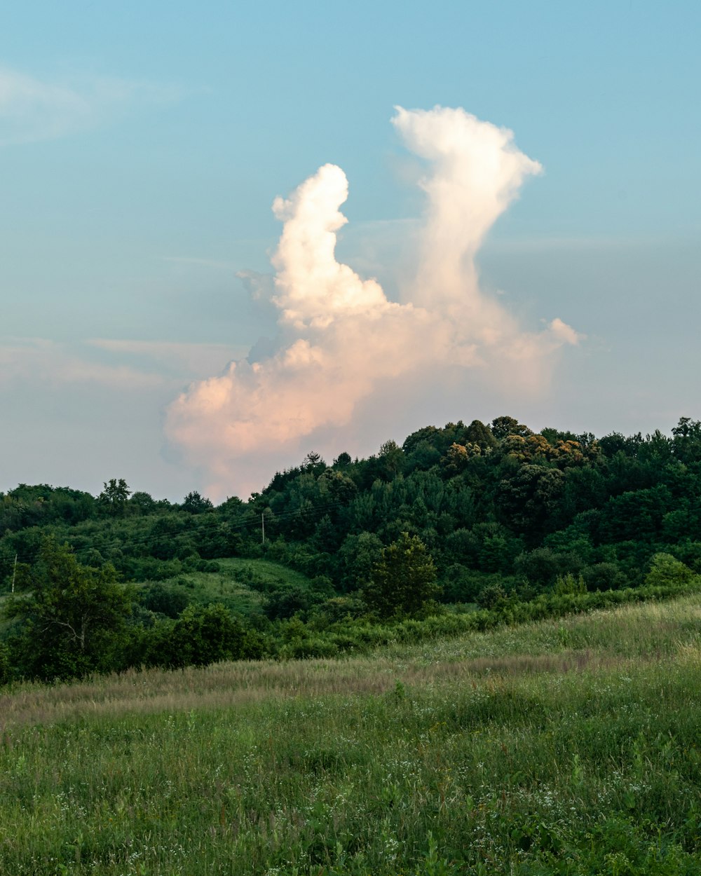 green trees under white clouds and blue sky during daytime