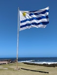 blue and white flag on pole near beach during daytime