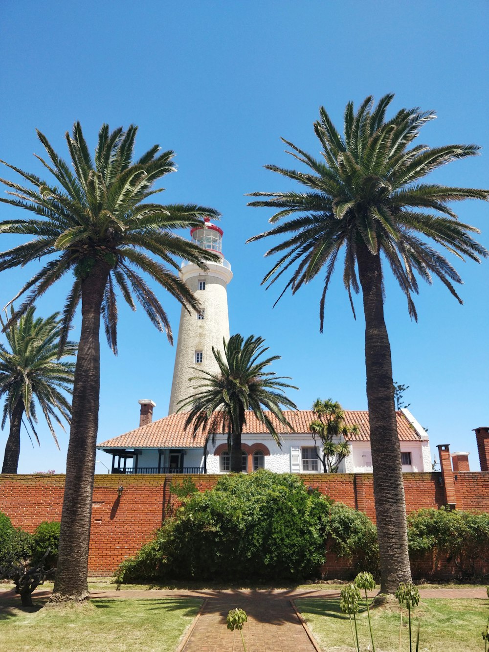 white and brown concrete lighthouse near palm trees during daytime