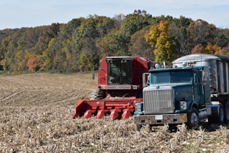 A large red combine harvester is positioned in a field with a green and silver semi-truck nearby. The field appears to be harvested with dry corn stalks scattered across the ground. In the background, there is a line of trees displaying autumn foliage with a mix of green, yellow, and orange leaves.
