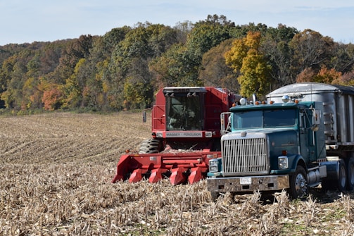 A large red combine harvester is positioned in a field with a green and silver semi-truck nearby. The field appears to be harvested with dry corn stalks scattered across the ground. In the background, there is a line of trees displaying autumn foliage with a mix of green, yellow, and orange leaves.
