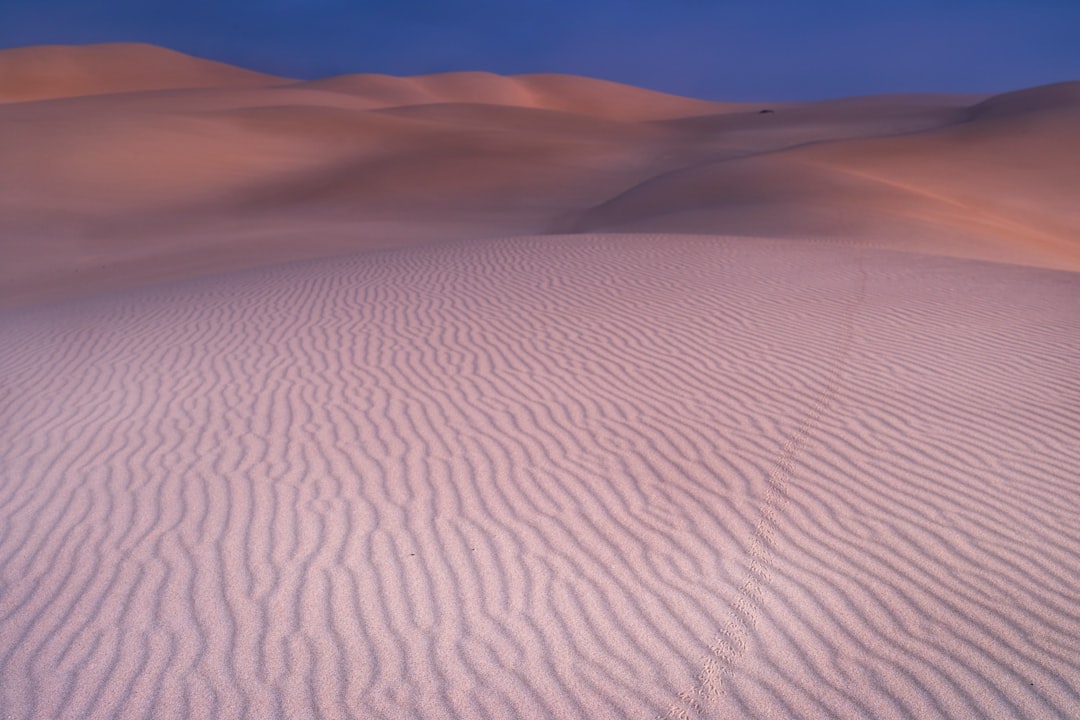 Desert photo spot Stockton Sand Dunes Port Stephens