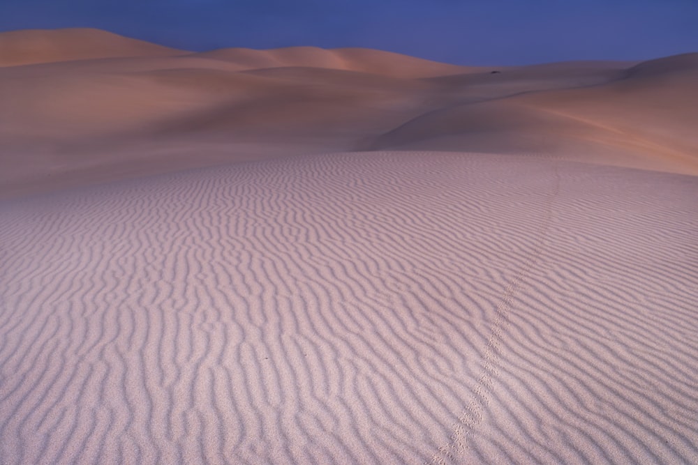 brown sand field during daytime