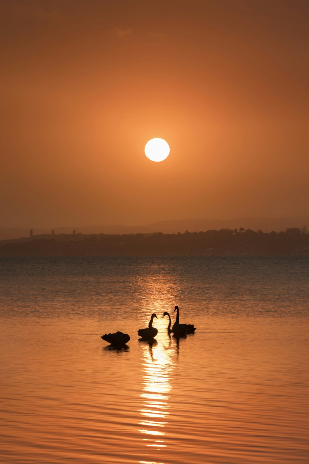 silhouette of people on beach during sunset