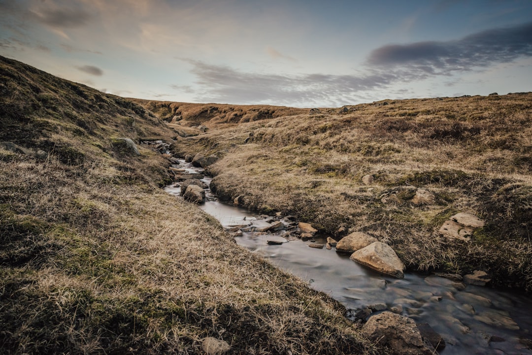 brown and green grass field near river under cloudy sky during daytime